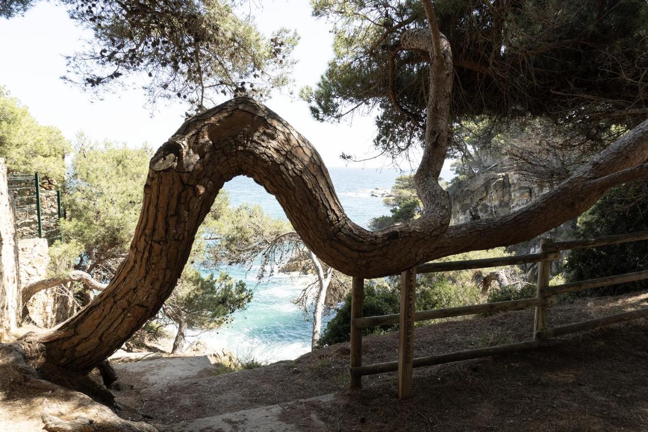 Apartamento Con Parking A 50M De La Playa Sant Antoni De Calonge Bagian luar foto